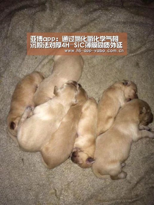亚博app:通过氯化氢化学气相沉积法对厚4H-SiC薄膜同质外延生长的工艺优化(图4) 亚博平台