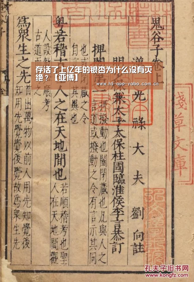 存活了上亿年的银杏为什么没有灭绝?【亚博】(图4) 亚博平台