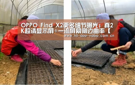 OPPO Find X2更多细节曝光:真2K超清显示屏+一流屏幕侧边曲率【亚博官网】(图1) 亚博平台