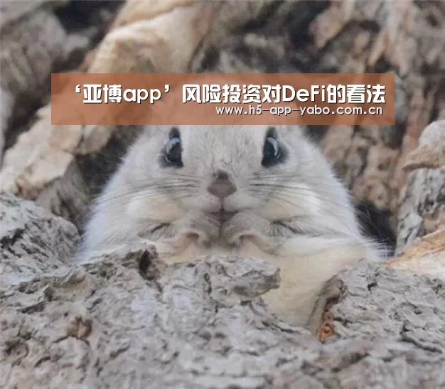 ‘亚博app’风险投资对DeFi的看法(图1) 亚博app