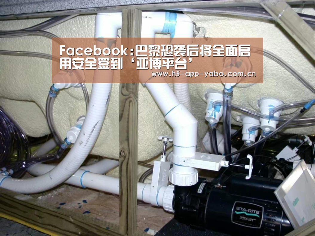 Facebook:巴黎恐袭后将全面启用安全签到‘亚博平台’(图4) 亚博app